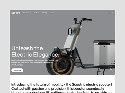 Scootric - Electric Scooter charging clean design electric electric bike electric scooter ev home page homepage landing page landing page design minimalist scooter strategy structure ui ux web design website website design