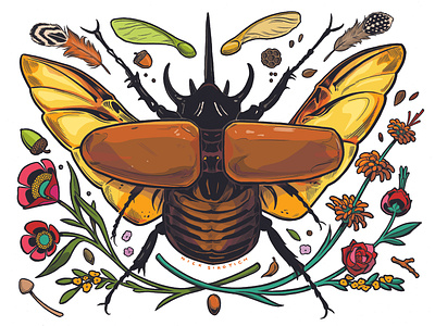 Rhinoceros Beetle, ink and digital color. animals drawing entomology illustration illustrator insects nature rhino beetle san francisco scientific illustration