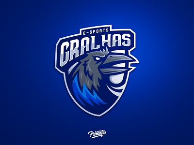 Gralhas e-sports bird birdie brasil crow e sports gamer gaming gralha gralha azul illustration logo raven sportlogo team