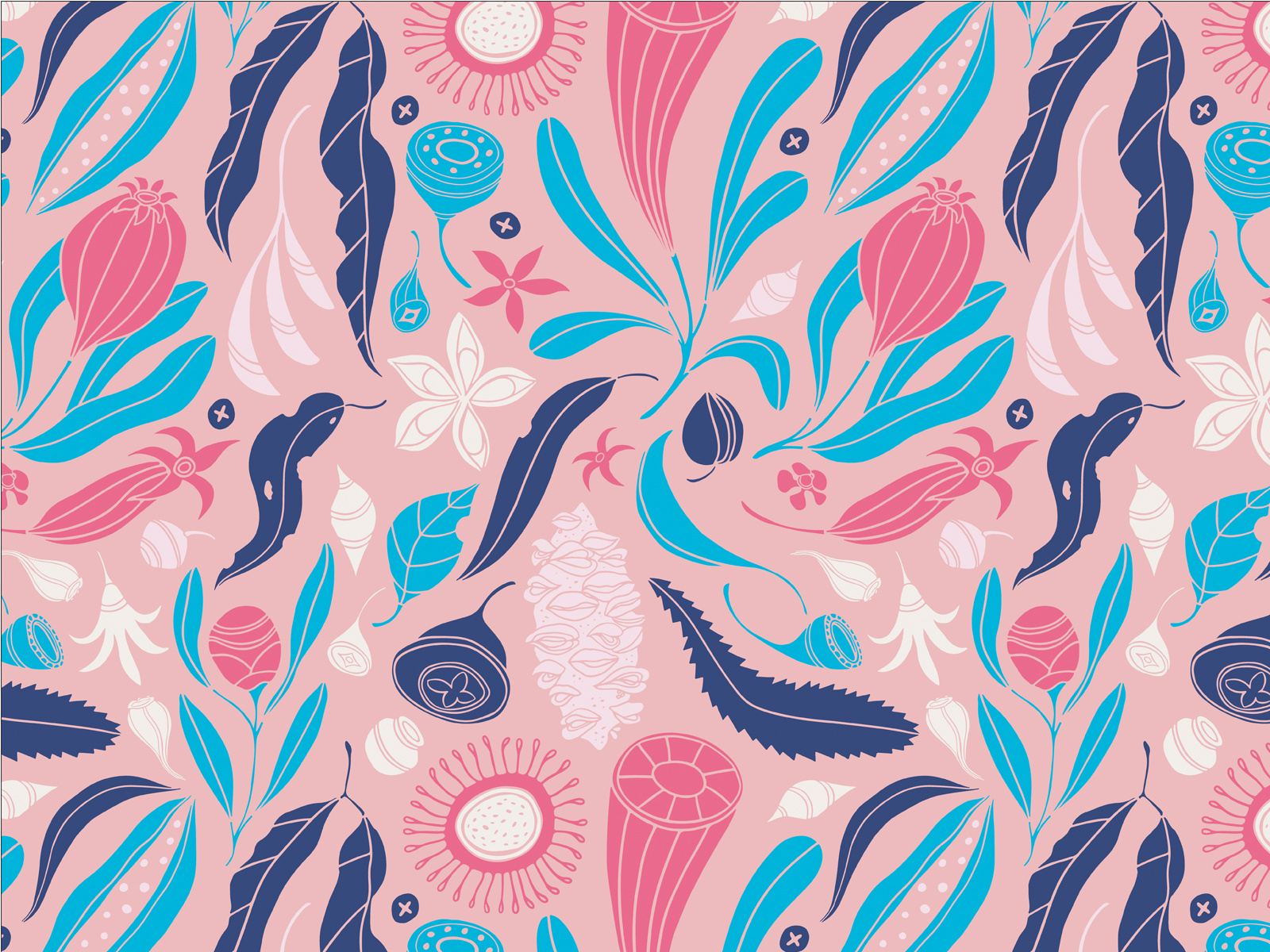 australian-bush-florals-by-rachael-walkerden-on-dribbble