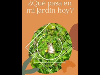 Story for Instagram - Garden, nature and butterfly design garden graphic design nature