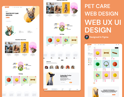 Pet Care Web Design blockchsin nft ui web design ux ui ux ui design ux web design web design web design ux ui web redesign web ux ui design