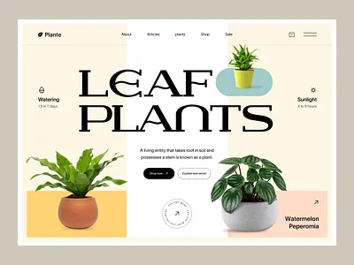 Plante Website design interface product service startup ui ux web website