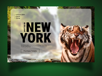 Zoo Website UI Design branding creative design designer graphic design graphics illustration logo marketing ui wildlife zoo zoouidesign