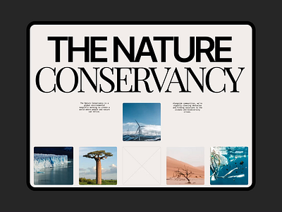 The nature conservancy | Corporate Website animation design ui ux web