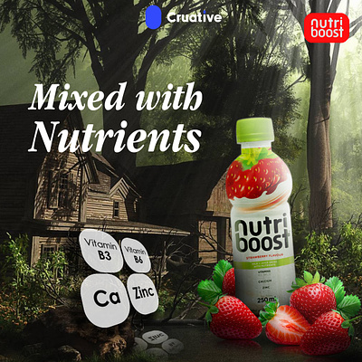 Nutri Boost Creative Ad branding graphic design