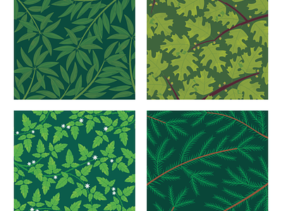 California Forest Patterns botanical california design illustration leaf pattern leaves museum nature pattern patterns plants tree trees vector wallpaper