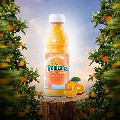 Image Manipulation of Tropicana Orange Juice branding fruit manipulation graphic design manipulation orange orangejuice photoshop tropicana tropicanaorangejuice