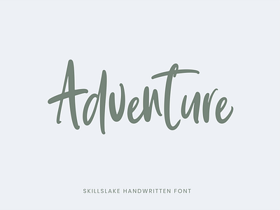 'Skillslake' Font by Agung Rohmat 🌟🖋️ artisticfonts