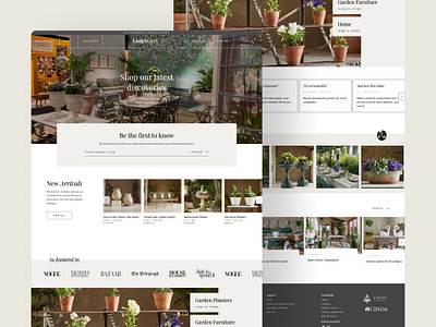 Violet Grey - Homepage home homepage luxury web design