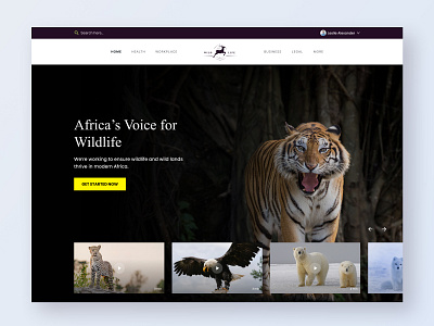 Wildlife website hero section animal design header hero section jungle landingpage minimal trendy ui ui design ux ux design web design web ui website website header wildlife wildlife website