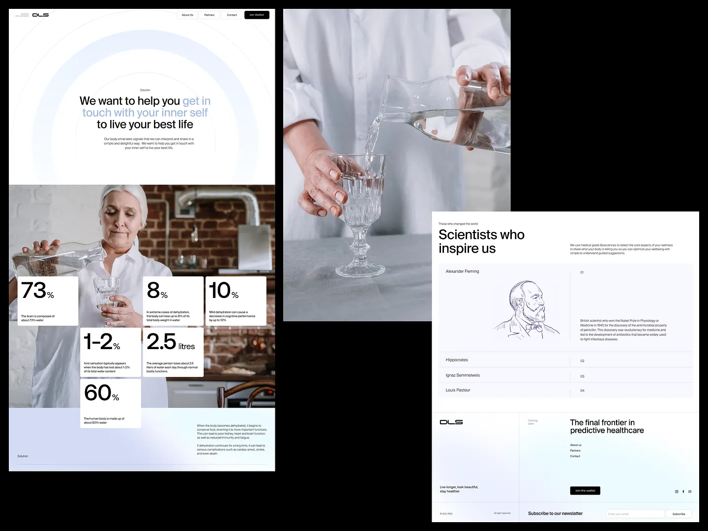 Innovative Wellness Website Design: DLS Case Study