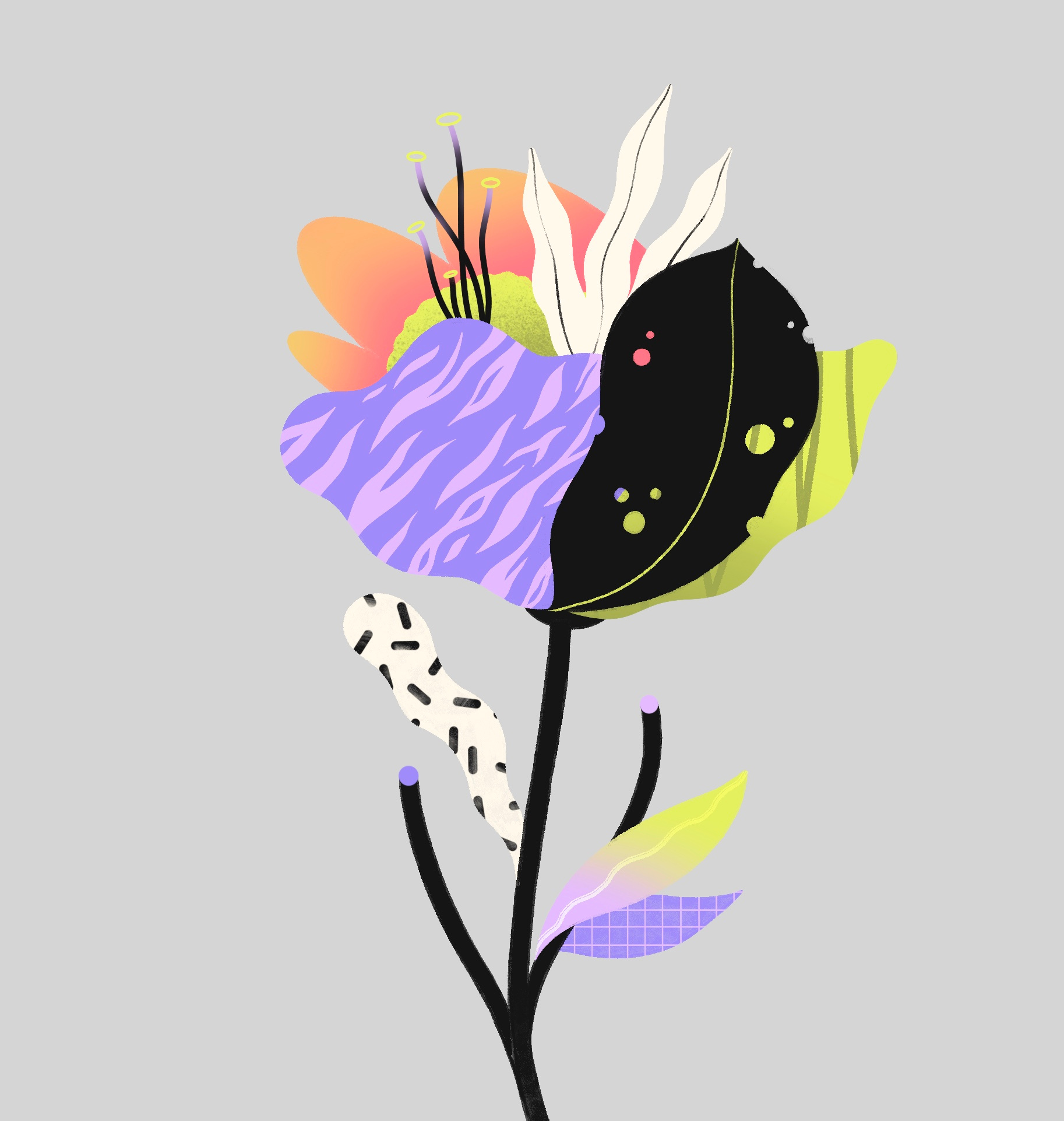 Street flower artwork flower gradients illustration pattern print textures