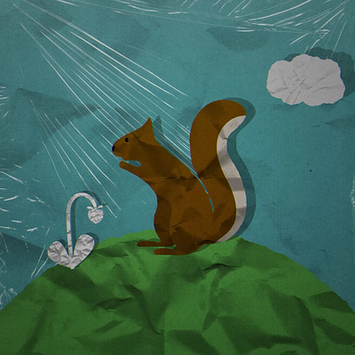 Squirrel collage animation 2d after effects animation collage design illustration motion graphics squirrel