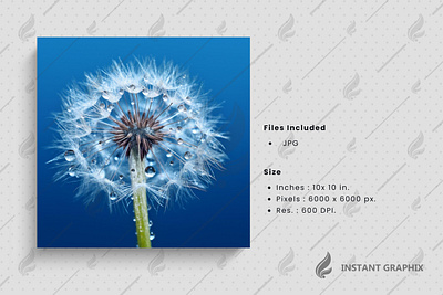 Softness and fragility of a dandelion beauty generative AI . grass . herbs . summer flower ai generated beauty pattern flowers and plants fresh flowers graphic design macro nature plant growth plant seed single flower white flower wildflowers