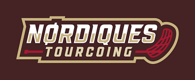 Nordiques - Tourcoing - Logotype floorball nordiques sports branding sports logo team logo vikings