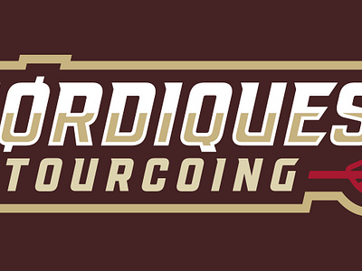 Nordiques - Tourcoing - Logotype floorball nordiques sports branding sports logo team logo vikings