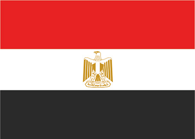 Egypt Flag branding graphic design logo