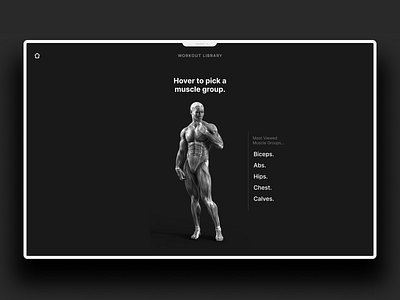 Pick a Muscle! clean design ui ux visual design web