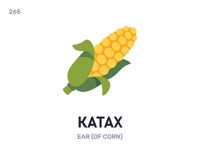Катáх / Ear (of corn) belarus belarusian language daily flat icon illustration vector