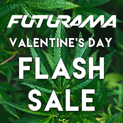 Flash Sale - Social Media Post digital marketing marketing social media