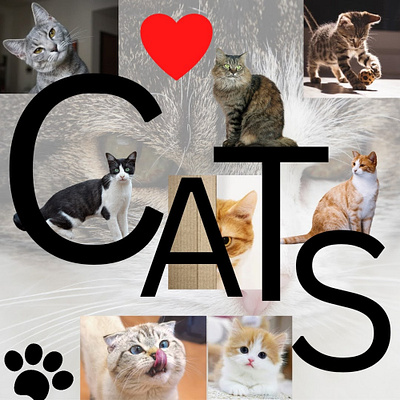 The Cats 3d animals artwork book cover cat lovers design digital art graphic design illustration poster design posts social media post designs the cats themes typography