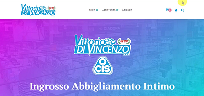 Vittorio Di Vincenzo B2B b2b ecommerce oxygen builder responsive design responsive website web design web design italia web design italy wordpress