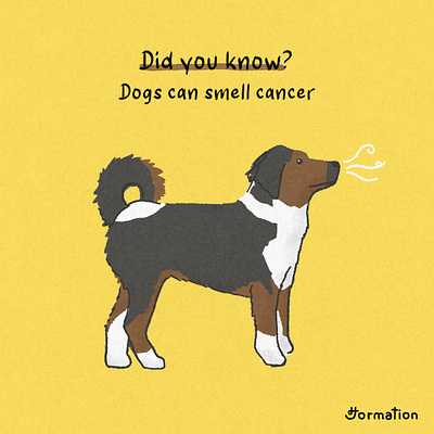 Dogs can smell cancer animal cartoon digital art digital illustration dog dogs drawing fun fact illustration pet procreate puppy