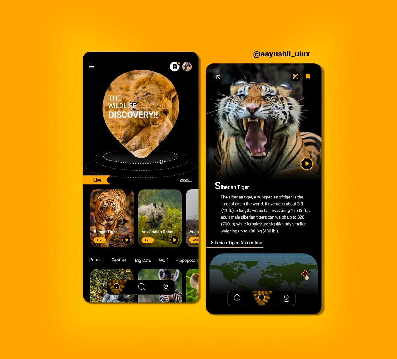 The Wildlife Discovery Mobile App Design by Ayushi Rana on Dribbble