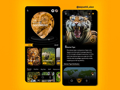 The Wildlife Discovery Mobile App Design 3d appdesign behance branding design dribbble figma figmadesign graphic design illustion illustration logo mobileappdesign ui uidesign uiux