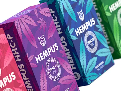 Hempus - hemp boxes 3d visualization art direction branding hemp logo design package design packaging