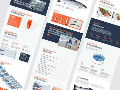 Aquaproduct's Website: The Art of Design Rhythms 🐟 b2b b2c branding corporate website design desktop fish fish website illustration landing page salmon seafood tilda ui ux ui web design web development web site webdesign website