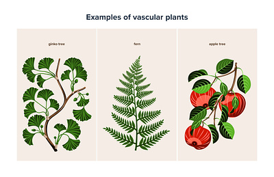 Scientific infographic for learning app. 2d illustration adobe illustrator digital illustration graphic design illustration infographic scientific illutration vector illustration