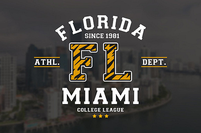 College League Font - Display Font athletic branding college display football sans serif sport university variable varsity
