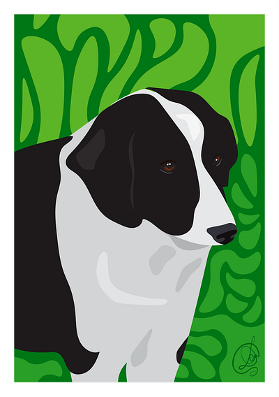 Animal 2 adobe adobe illustrator animal art aussie black cute design dog farm graphic design green illustration illustrator pup puppy shepherd vector vectorart white