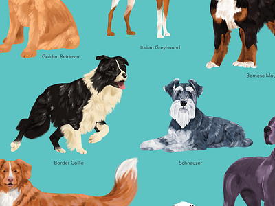 Dog Breeds Poster art card art licensing card card design design digital art dog breeds dog illustration doggust dogs greeting card illustration pet illustration poster poster design procreate surface design