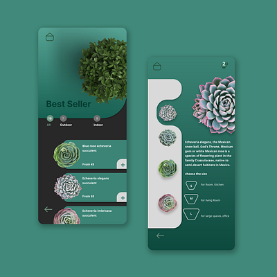 Plant caring and shopping app branding graphic design ui