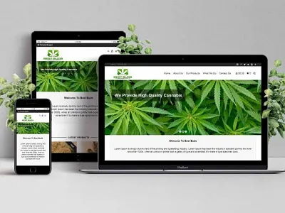 Website development and designing graphic design ui ui designing web designing web devlopment website designing website development