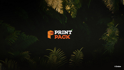Print Pack LOGO Design brand design branding graphic design logo logo presentation