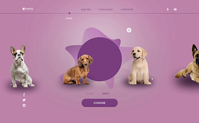 Puppy web site 3d animation branding logo motion graphics ui