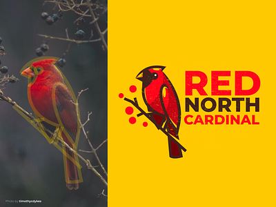 Red North Cerdinal Logo branding corporate branding design graphic design illustration logo logodesign vector