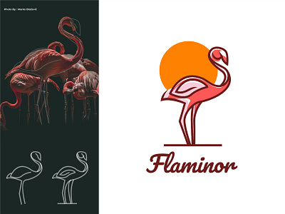 Flaminor Logo branding corporate branding design graphic design illustration logo logodesign vector