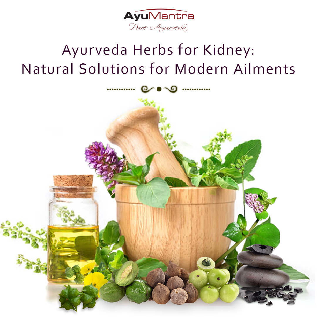 Ayurveda Herbs for Kidney Natural Solutions for Modern Ailments by