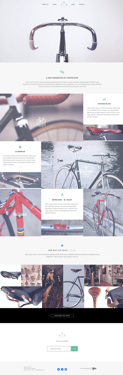 Bicycle Theme landing page theme web design web development