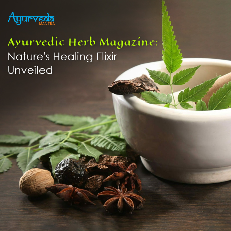 Ayurvedic Herb Magazine Nature’s Healing Elixir Unveiled by Ayurveda
