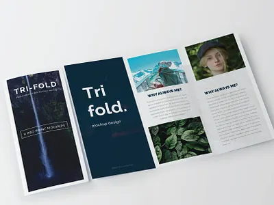 Trifold Brochure Mock-Up Set #6 branding business cover design design download flyer graphic design identity mockup mockups print design psd stationery template tri fold trifold