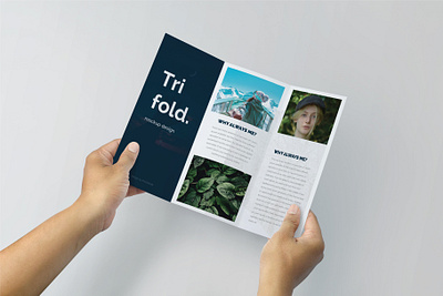Trifold Brochure Mock-Up Set #7 branding brochure clean cover design download flyer graphic design identity mockup mockups print design psd template trifold