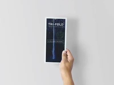 Trifold Brochure Mock-Up Set #8 branding clean design download flyer graphic design mockup mockups print design print mockup psd showcase
