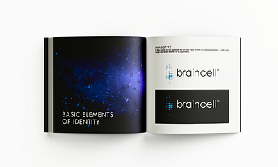 Braincell Branding and Animations animation branding motion graphics