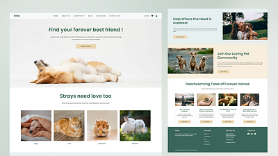 Petto - Pet Adoption Website adoption cat dog pet ui